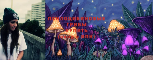 spice Коряжма